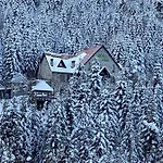 Hotel Hotel Alpin