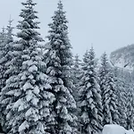 Hotel Alpin Dardhe (Korce)