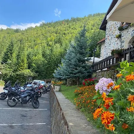 Hotel Alpin 4*