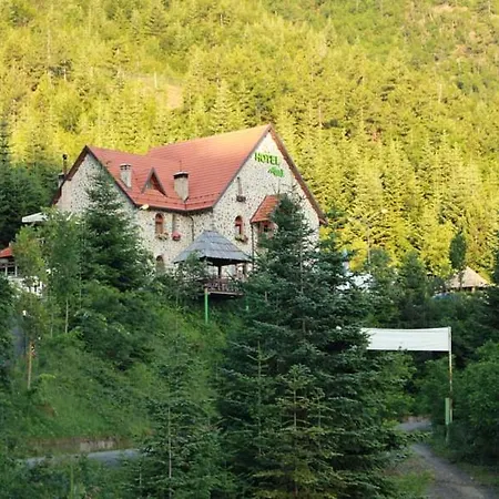 Hotel Hotel Alpin