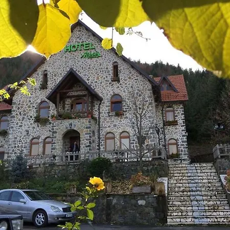Hotel Alpin Hotel
