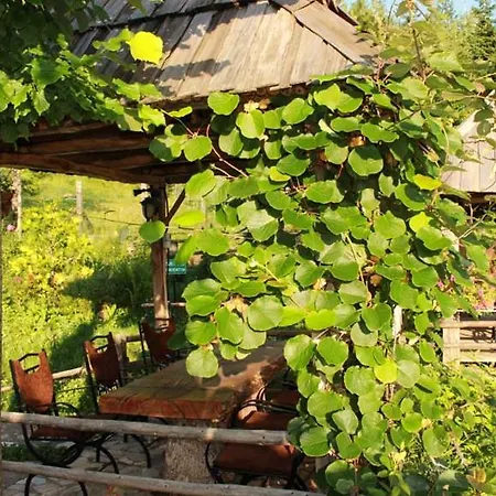Hotel Hotel Alpin Dardhe (Korce)