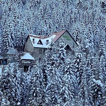 ホテル Hotel Alpin